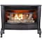 Procom Heating Procom Ventless Dual Fuel Gas Stove - 25,000 Btu, T-Stat Control QNSD250T - alternate 1